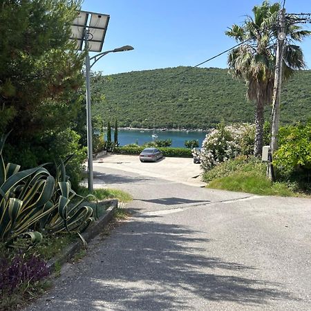 Lazarus Bigova Apartments Tivat Exteriér fotografie
