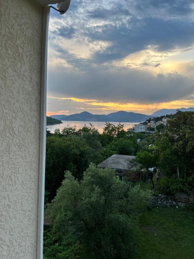 Lazarus Bigova Apartments Tivat Exteriér fotografie